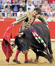 Spanish bullfighter Jose Tomas performs a pass during the last bullfight at Monumental bullring in central Barcelona
