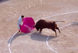 Bull_attacks_matador